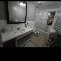 1room 1bath - Photo 2