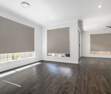 Beauty With The WOW Factor - Photo 2