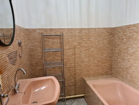 Location Appartement 2 pièces 41m² BRIVE LA GAILLARDE 19100 - Photo 3