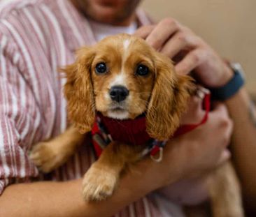 Sadlers Place, B5 6EG, Birmingham - Photo 2