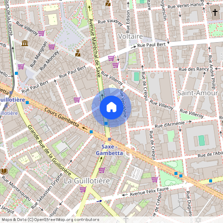 153 AVENUE MARECHAL DE SAXE, LYON 3EME ARRONDISSEMENT Saxe-Vileroy