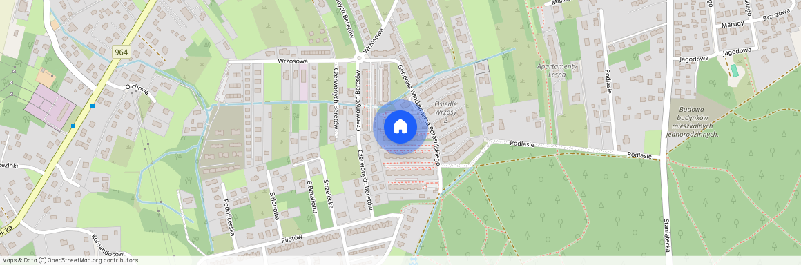 Generała Włodzimierza Potasińskiego, Niepołomice, Niepołomice, wielicki, małopolskie