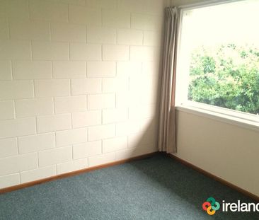 Two Bedrooms in Hornby - Photo 6