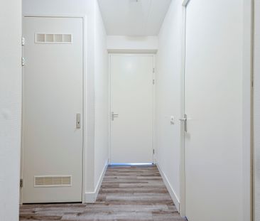 Te huur: Appartement 1e Lulofsdwarsstraat 10 K in Den Haag - Foto 5