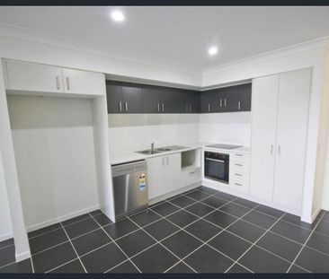 Modern Duplex in Flinders view - Photo 6