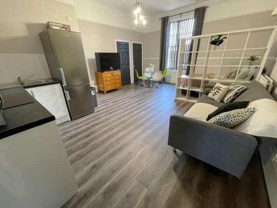 Upper Parliament Street, L8 - Photo 1