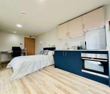 Sequoia Studio - Photo 5