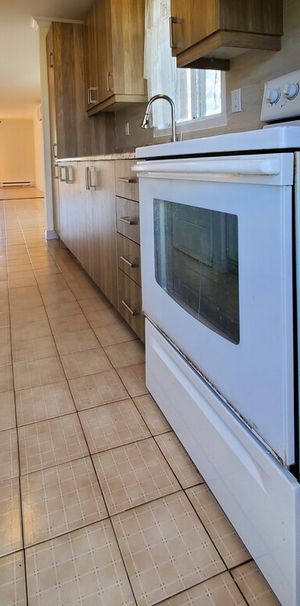 SUPERBE 4 1/2 RÉNOVÉ. AVEC A/C. SECTEUR - Photo 1