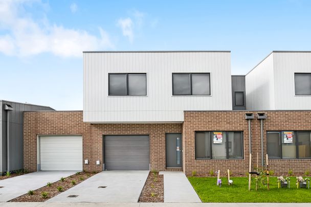 48 Cinnamon Drive, Cranbourne East VIC 3977 - Townhouse For Rent | Domain - Photo 1