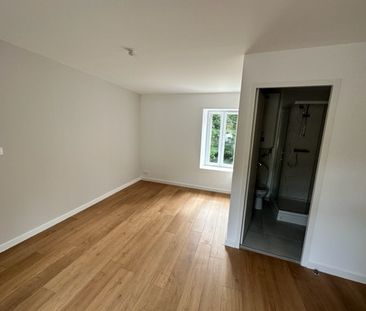 A louer Brest Rive Gauche-Penfeld- proche facs T1 neuf - Photo 5