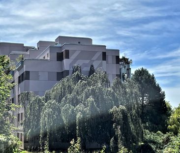 Appartement de 1.0 pièce au rez - Photo 2