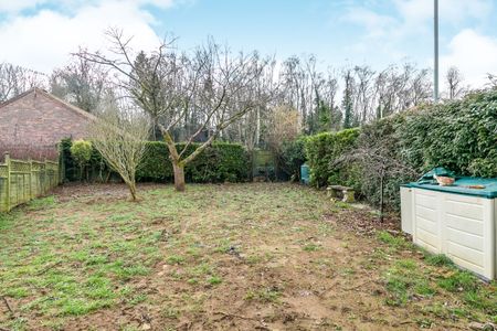 2 bedroom apartment to rent Springfield, Elstead, Godalming, GU8 - Photo 5