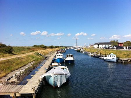 Afd. 17 - Løgstør Boligforening - Photo 5