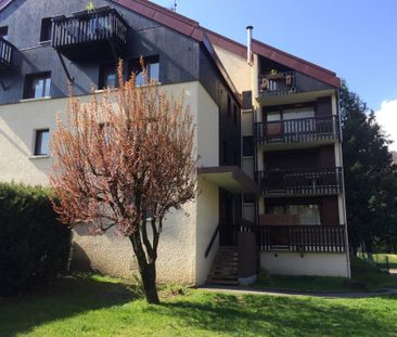 Location Appartement 1 pièce 20m² SALLANCHES 74700 - Photo 4