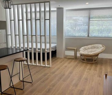 Renovated Studio Apartment - Photo 2