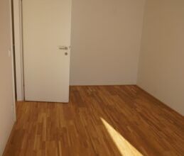 Frühlingserwachen - Foto 3