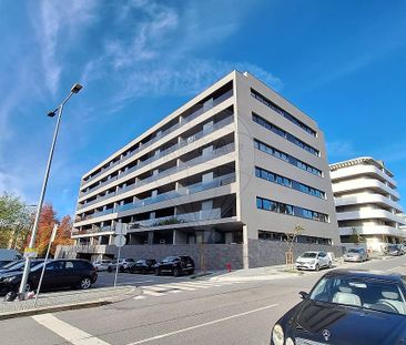 Apartamento T1 em Braga - Photo 6