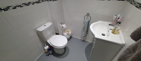 167 Richmond Road, Roath, Cardiff, CF24 3BT - Photo 3