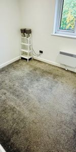 Larchdale Close - Photo 3