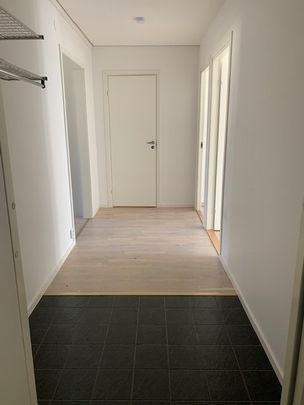 Västra Storgatan, Olofström - Foto 1