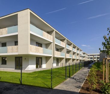 WIENER NEUSTADT IX/1 - Foto 3