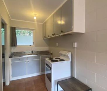 TIDY STUDIO FLAT IN MT EDEN - Photo 3