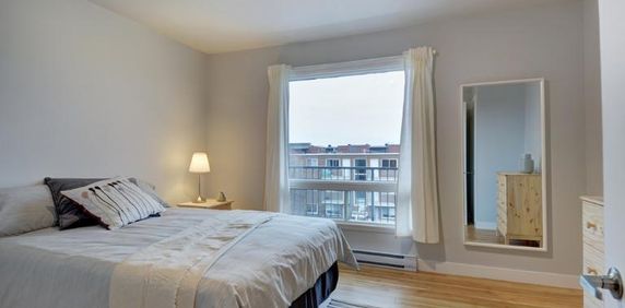 Appartement 3 ½ à louer Sainte-Foy / Sillery juillet 2026 - Photo 2