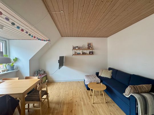 Hyggelig 2-værelses lejlighed i Aalborg med god beliggenhed - Photo 1