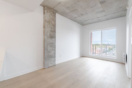 Rue du Havre, H2K 0E5, Montréal - Photo 4