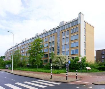 Landréstraat 1057, Waldeck-Noord, 2551BR, Den Haag - Foto 2