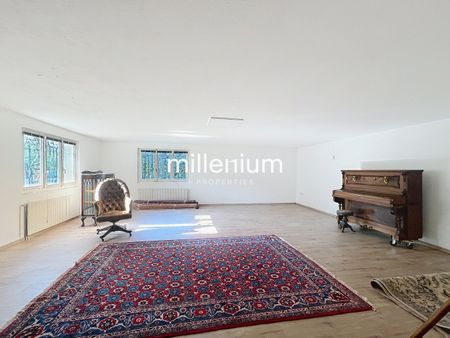 Beautiful detached family home in Cointrin - Photo 4