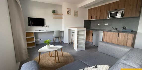 Location Appartement 1 pièce 29m² LIMOGES 87000 - Photo 2
