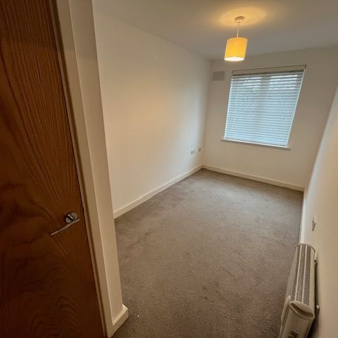 IVES HOUSE – ERCOLANI AVENUE - Photo 1