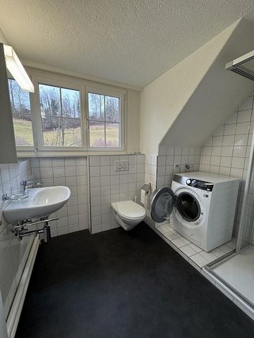 2-ZImmerwohnung in Zollikerberg gesucht? - Photo 4