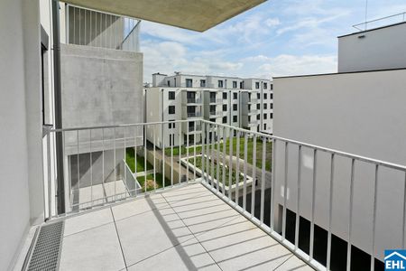 DER BALLON - ANKOMMEN UND ABHEBEN - NATURNAHES WOHNEN NAHE DER SEESTADT ASPERN - Photo 2