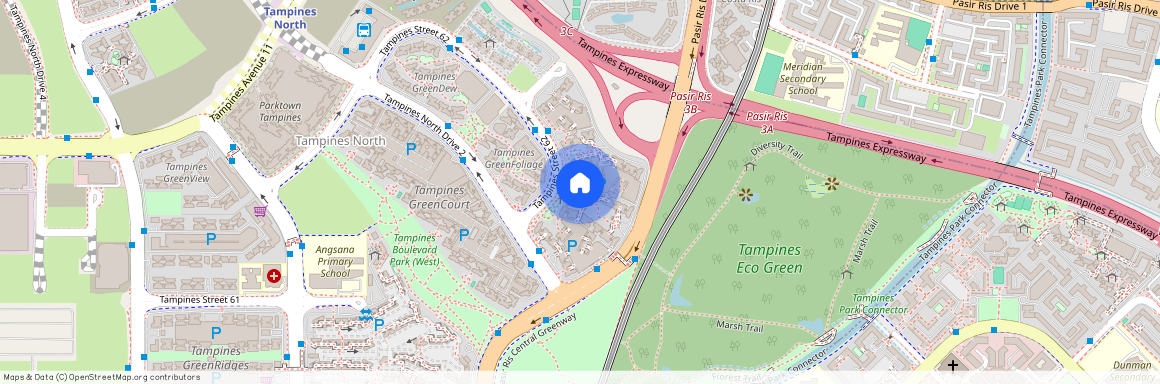 Blk 639B Tampines Street 62 S(522639)