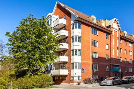 Högamöllegatan, Malmö - Photo 5