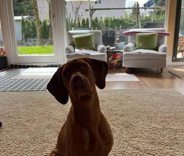 Möbliertes Zimmer auf Zeit - Photo 1