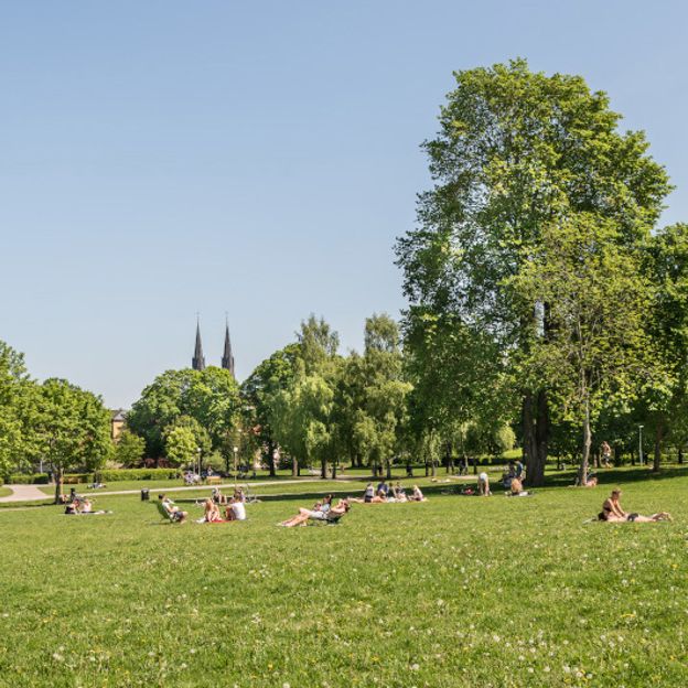 Rackarbergsgatan 11, 75235, Uppsala - Photo 1