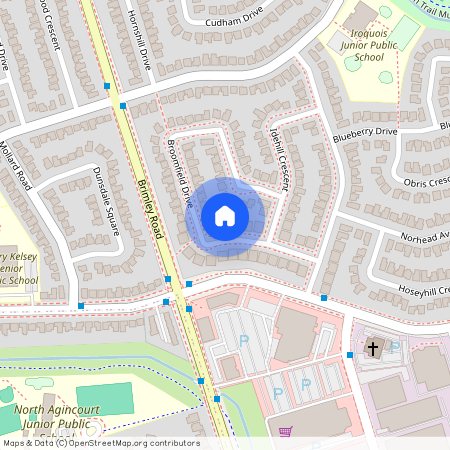 33 Broomfield Drive Unit# Basement, Toronto