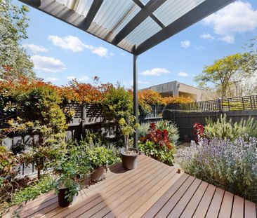 315B Balwyn Road, Balwyn North VIC 3104 - Townhouse For Rent | Domain - Photo 3