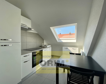 Location Appartement 2 pièces 25m² ST LOUIS 68300 - Photo 4