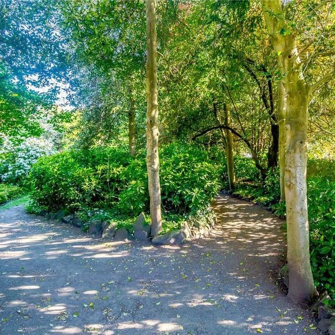 3 bedroom maisonette to rent - Photo 1