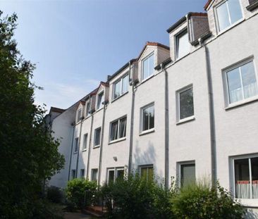 Gut geschnittene 2-Zi-Wohnung - Photo 1