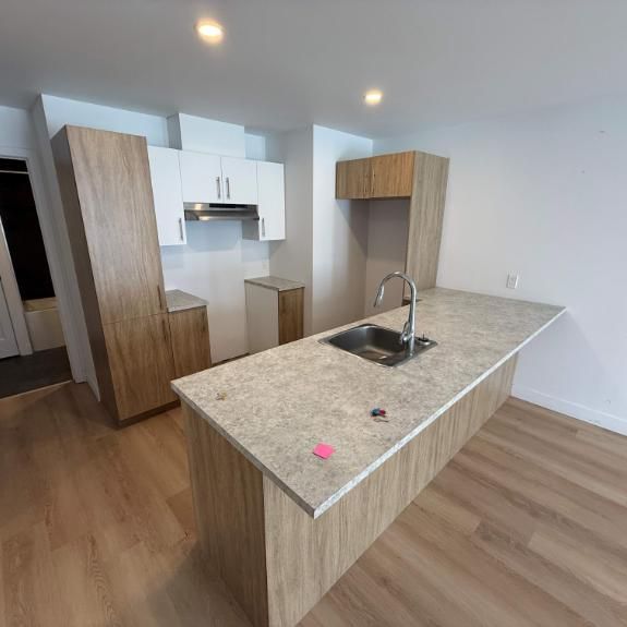 4½ À LOUER – SAINT-ESPRIT - Photo 1