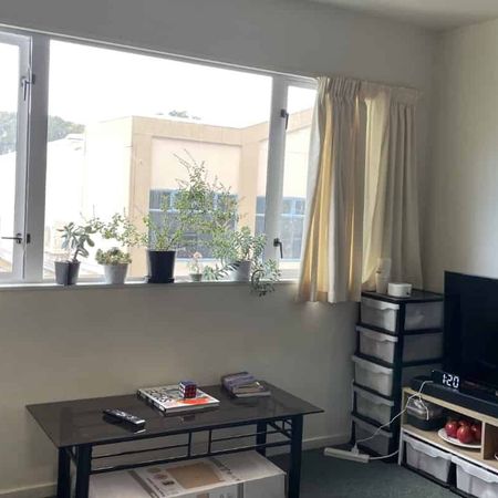 Two bedroom unit in Te Aro - Photo 4