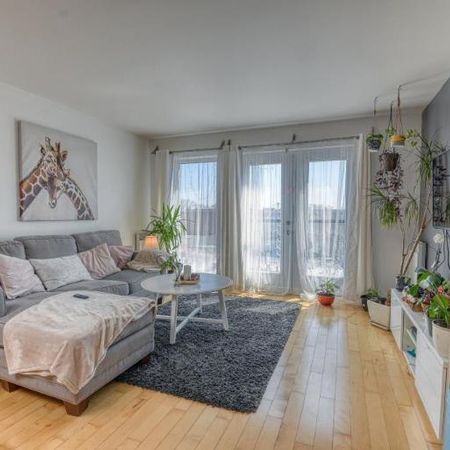 4 1/2 - Montréal - 1 850 $/mois - Photo 3