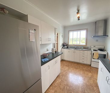 12 Norman Rd, Titirangi - Photo 5