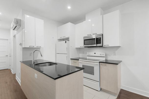 Condo for rent, Montréal (Le Plateau-Mont-Royal) - Photo 1