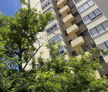 Apartamento T3 em Penha de França - Photo 4